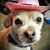 Cheryl Kruncos's profile image