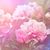 Joseph-Linda Leadman's profile image