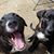 Teresa Gravelle's profile image
