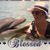Marcia Walker's profile image