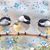 Roseann Lorenz's profile image