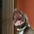 Eric Podlas's profile image