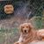 Jamee Gray's profile image