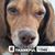 Cyndee Wiles's profile image