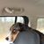 Brian Hicks's profile image