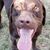 Kim Pelser's profile image