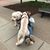 Christy Cooper - Basilone's profile image