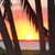 Sandra Dean's profile image