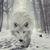 Annette Mershon's profile image
