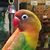 Carlos Del Angel's profile image