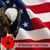 Maura Dougherty's profile image