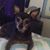 David Heather Yeomans's profile image
