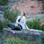 Maddy Brown's profile image