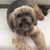 Debbie Landers Bornais's profile image