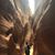 Esther Sudbrink's profile image