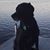 Donna Porter-Dyer's profile image