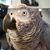 Leigh McClure Latchum's profile image