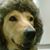 Kerrie Carrocia Heath's profile image