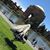 Susie McDevitt's profile image