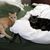 Gail R. Bellamy's profile image
