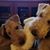 Susan Powers Smith's profile image