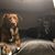 Chris Pellicano's profile image