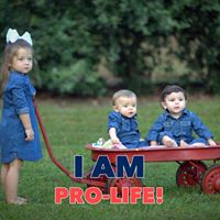 Beverly Brown Murray's profile image