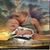 Judy Clark Davis's profile image