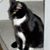 Deborah Kliegl's profile image