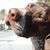 Eileen Drescher's profile image