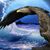 Nelson Omar Caraballo Bauzo's profile image