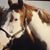 Aniko Smith's profile image