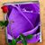 Doreen LeBourveau Pojero's profile image