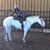 Stephanie Moore's profile image