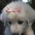 Karen Anderson Martin's profile image