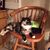 Patricia Hallenbeck's profile image