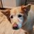 Melissa Marolla Chapman's profile image