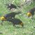 Judy Hill's profile image