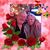 Marion Burke's profile image