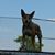 Linda Jucker's profile image