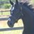 Tanya Wescovich's profile image