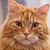 Maggie Kelley's profile image