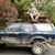 Joe Montibeller's profile image