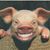 FoodGuy Stl's profile image