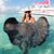 Julie Pierce's profile image