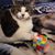 Amy Jo Barton's profile image