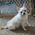 Jerry Wilson's profile image