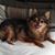 Theresa Snelling's profile image