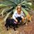 Rhonda Wharton's profile image