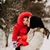 Tori Braaten's profile image